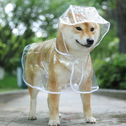 Pet Dog Puppy Transparent Rainwear Pet