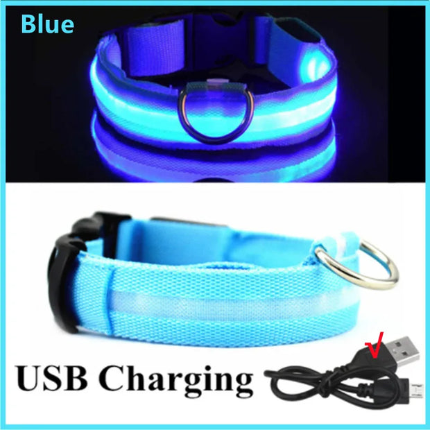 USB Rechargeable Luminous Collar  Dog