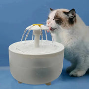 Pet Water Fountain Auto Filter USB Electric