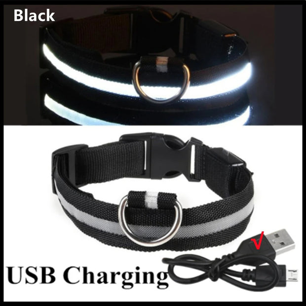 USB Rechargeable Luminous Collar  Dog