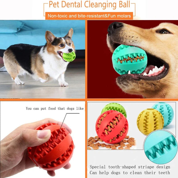 Dog Toy Ball Interactive Rubber Ball Puppy