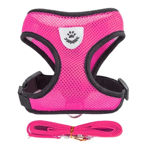 Cat Harness Vest Walking Lead Leash