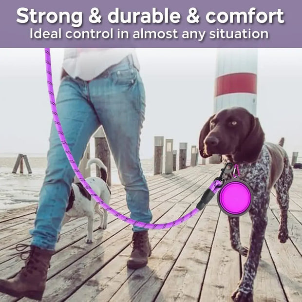 Strong Dog Leash Pet Leashes Reflective