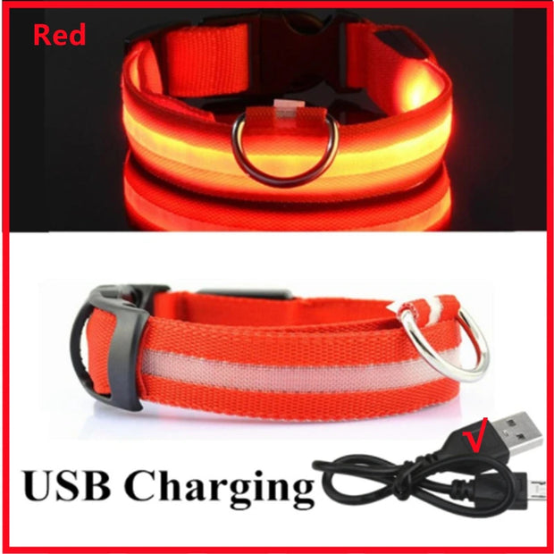 USB Rechargeable Luminous Collar  Dog