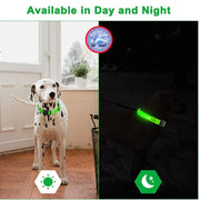 USB Rechargeable Luminous Collar  Dog