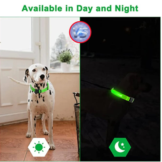 USB Rechargeable Luminous Collar  Dog