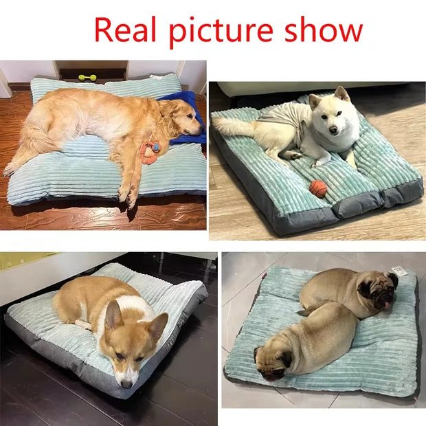 Soft Pet Dog Bed Winter Warm Dog Sleeping