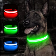 USB Rechargeable Luminous Collar  Dog