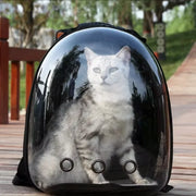 Portable Space Capsule Breathable Cat Bag,