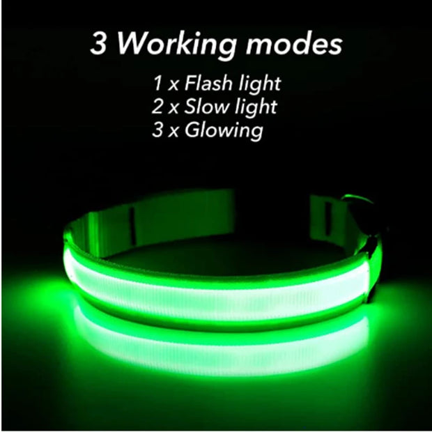 USB Rechargeable Luminous Collar  Dog