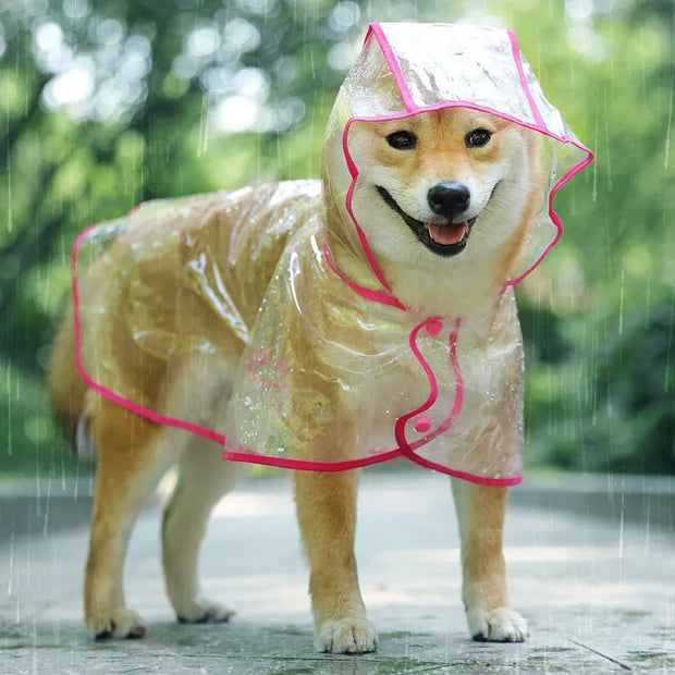 Pet Dog Puppy Transparent Rainwear Pet