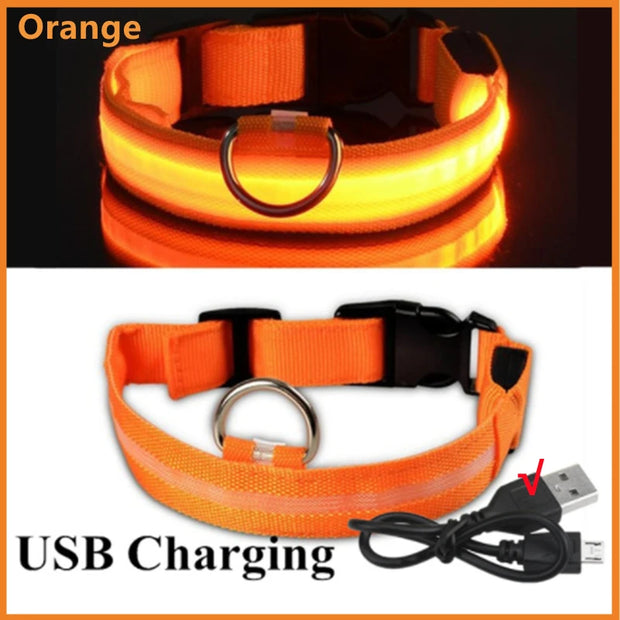 USB Rechargeable Luminous Collar  Dog