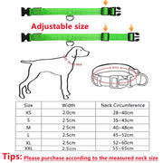 USB Rechargeable Luminous Collar  Dog