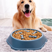 Pet Cat Dog Slow Food Bowl Fat Help