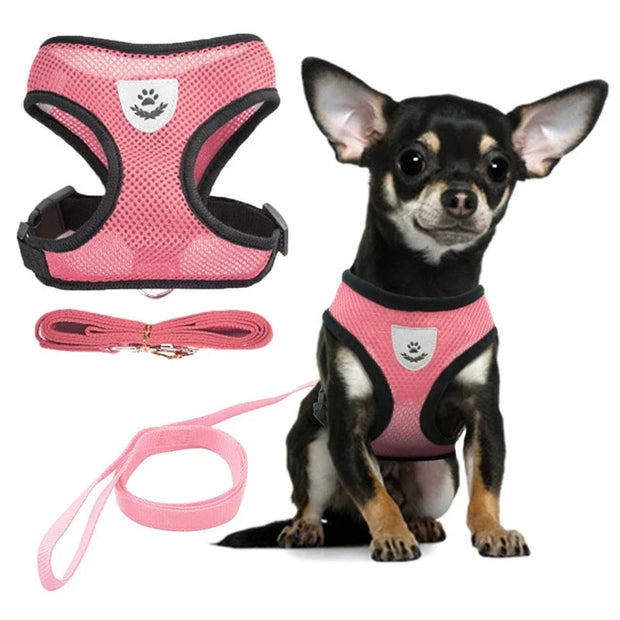 Cat Harness Vest Walking Lead Leash